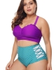 Oversized High-rise Fish Scale Swim Briefs (plus size)